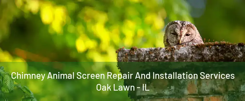 Chimney Animal Screen Repair And Installation Services Oak Lawn - IL