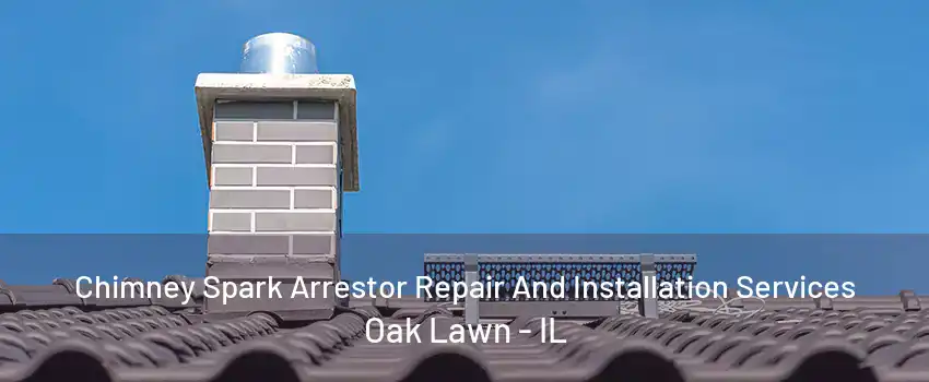 Chimney Spark Arrestor Repair And Installation Services Oak Lawn - IL