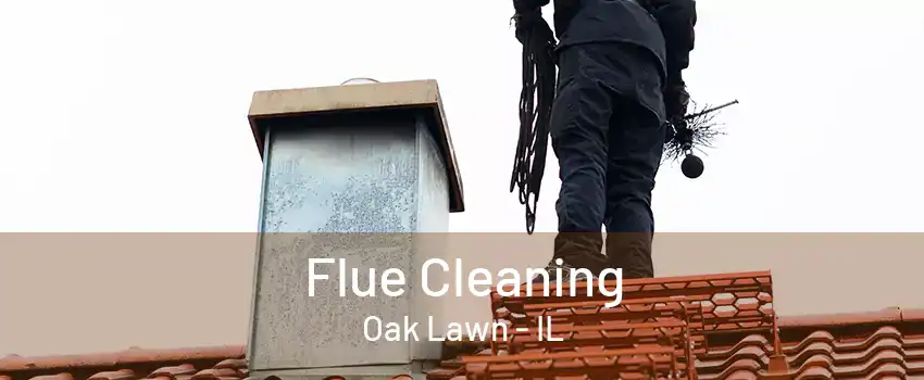 Flue Cleaning Oak Lawn - IL