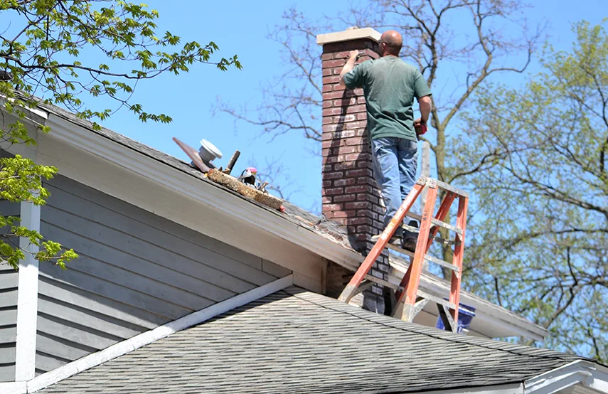 Chimney & Fireplace Inspections Services in Oak Lawn, IL