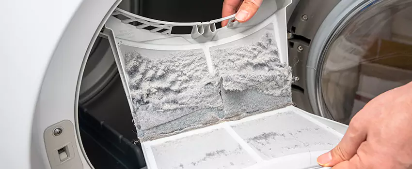 Best Dryer Lint Removal Company in Oak Lawn, Illinois